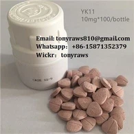 YK11 CAS 431579-34-9