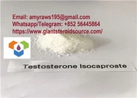 Προμηθευτής Raw Testosterone Isocaproate Steroid Powder 15262-86-9
