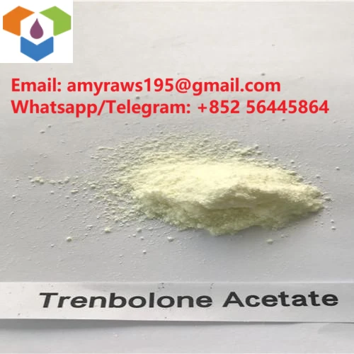 Γιατί είναι δημοφιλές το Trenbolone Acetate;