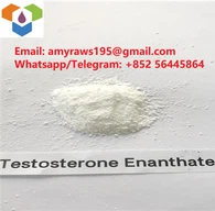 Ακατέργαστη σκόνη τεστοστερόνης Enanthate CAS 315-37-7